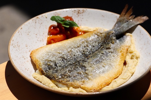 Image of a bronzino dish